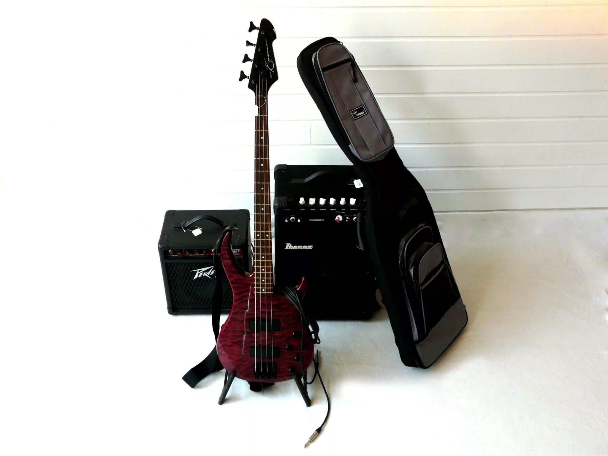 Basgitaar met versterker en gitaartas.